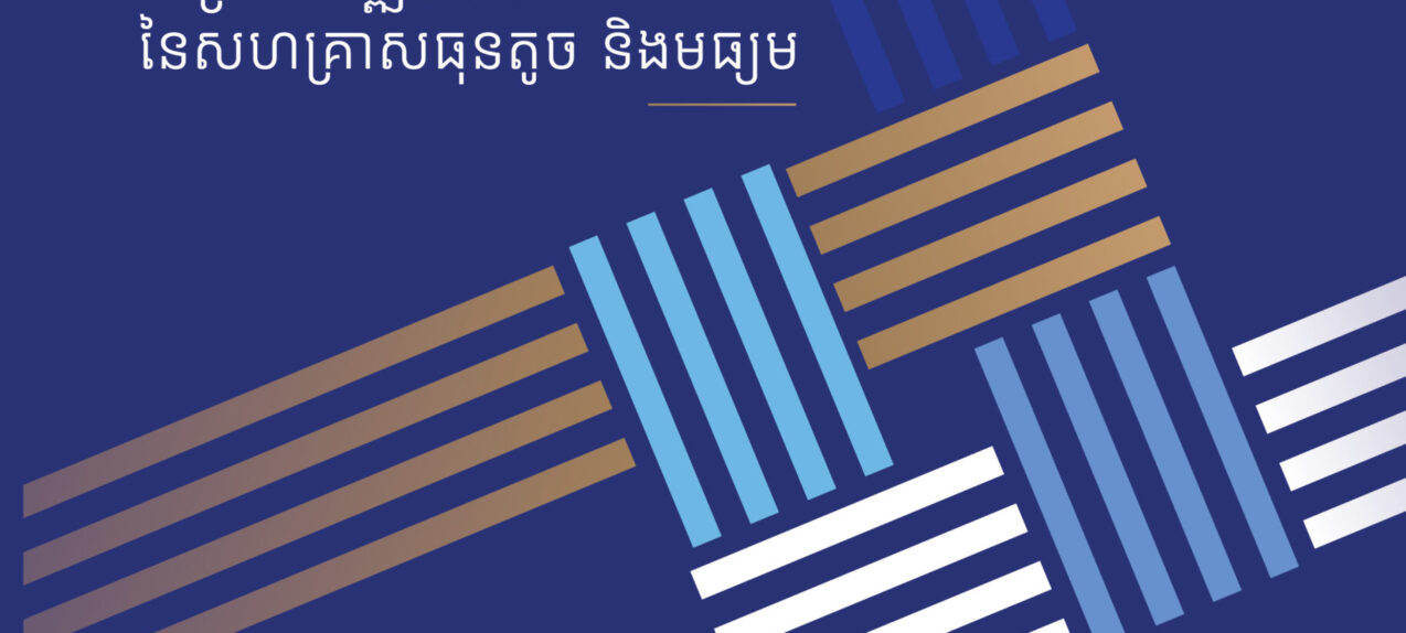 របាយការណ៍ប្រចាំឆ្នាំ២០២4
