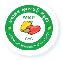 CAC 5